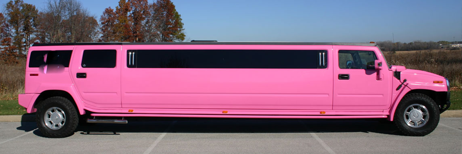 Pink Hummer Royal Ascot